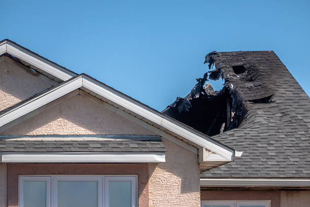 Top rated local Odor Removal specialists in Lebanon, KY